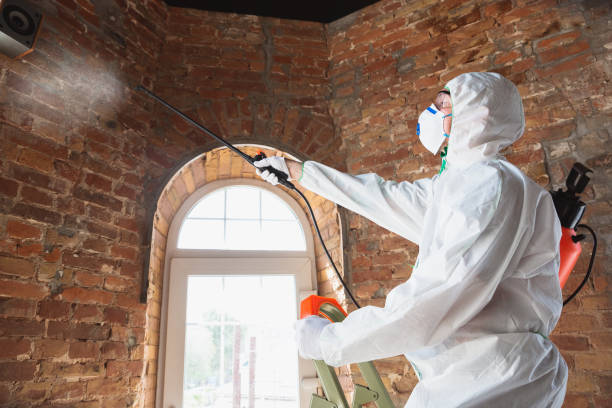 Best Industrial Mold Remediation  in South Plainfield, NJ