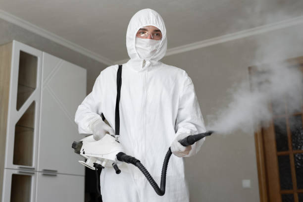 Reliable South Plainfield, NJ Mold Removal Services Solutions